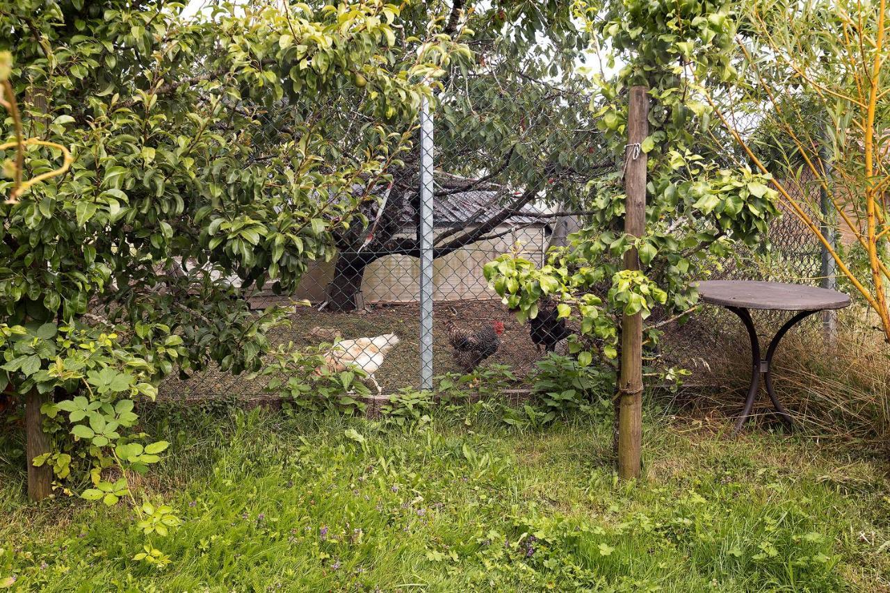 Appartamento Zum Haselbach Weilheim Esterno foto